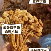 有机杏鲍菇干