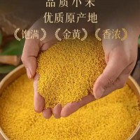 有机荞麦米