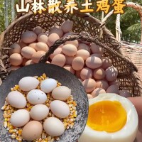 有机无菌蛋