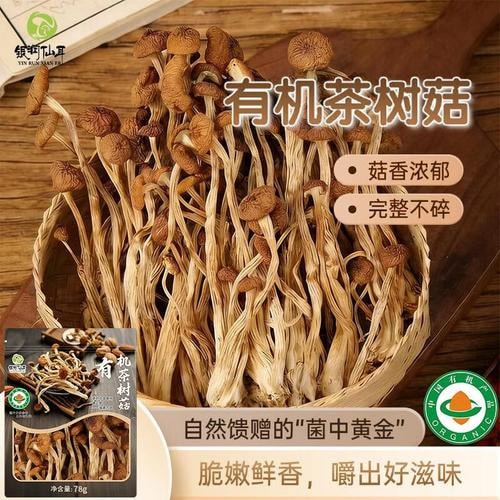 有机茶树菇