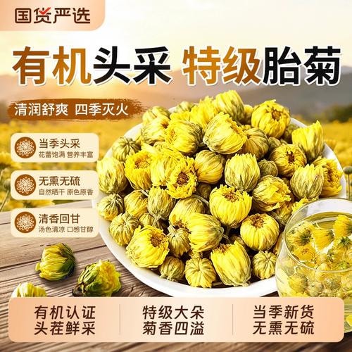 有机菊花茶