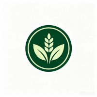 兰州产地菜行形象图