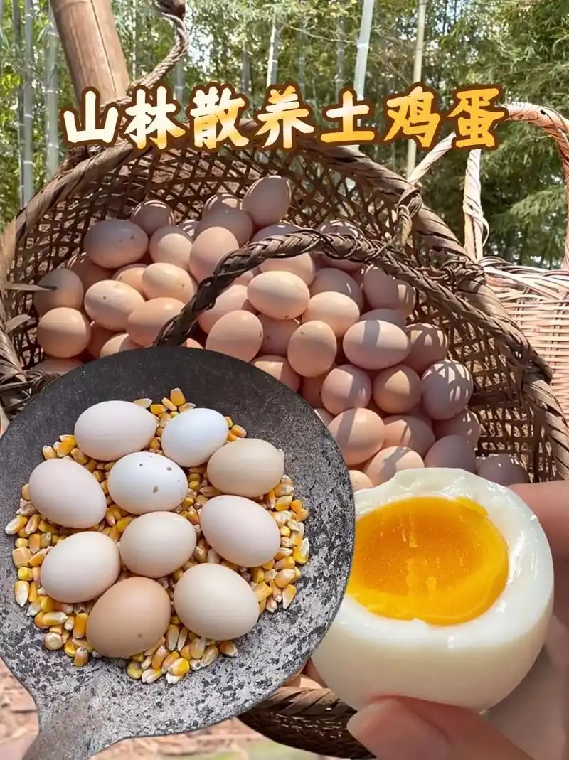 高山散养鸡蛋