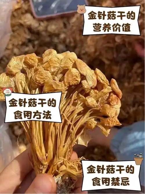 有机金针菇干