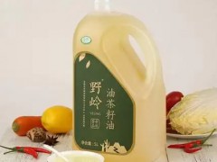 时令蔬菜区域代理招商
