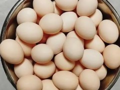 2026夏季有机专题博览会
