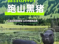 产地合作社抱团入驻，B2B对接提速