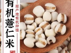 绿博会开幕，山珍茶饮成亮点品类