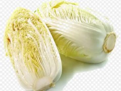 展会经济带动绿农招商加盟