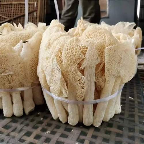 绿色果蔬